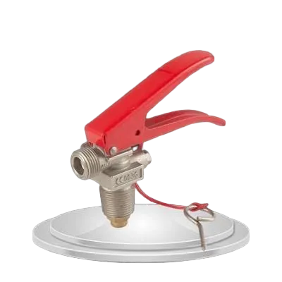 Valve d'extincteur de poudre sèche de 4 kg