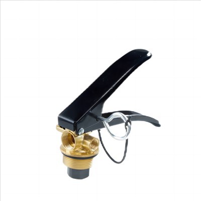 Vavle d'extincteur d'ABC de 6kg